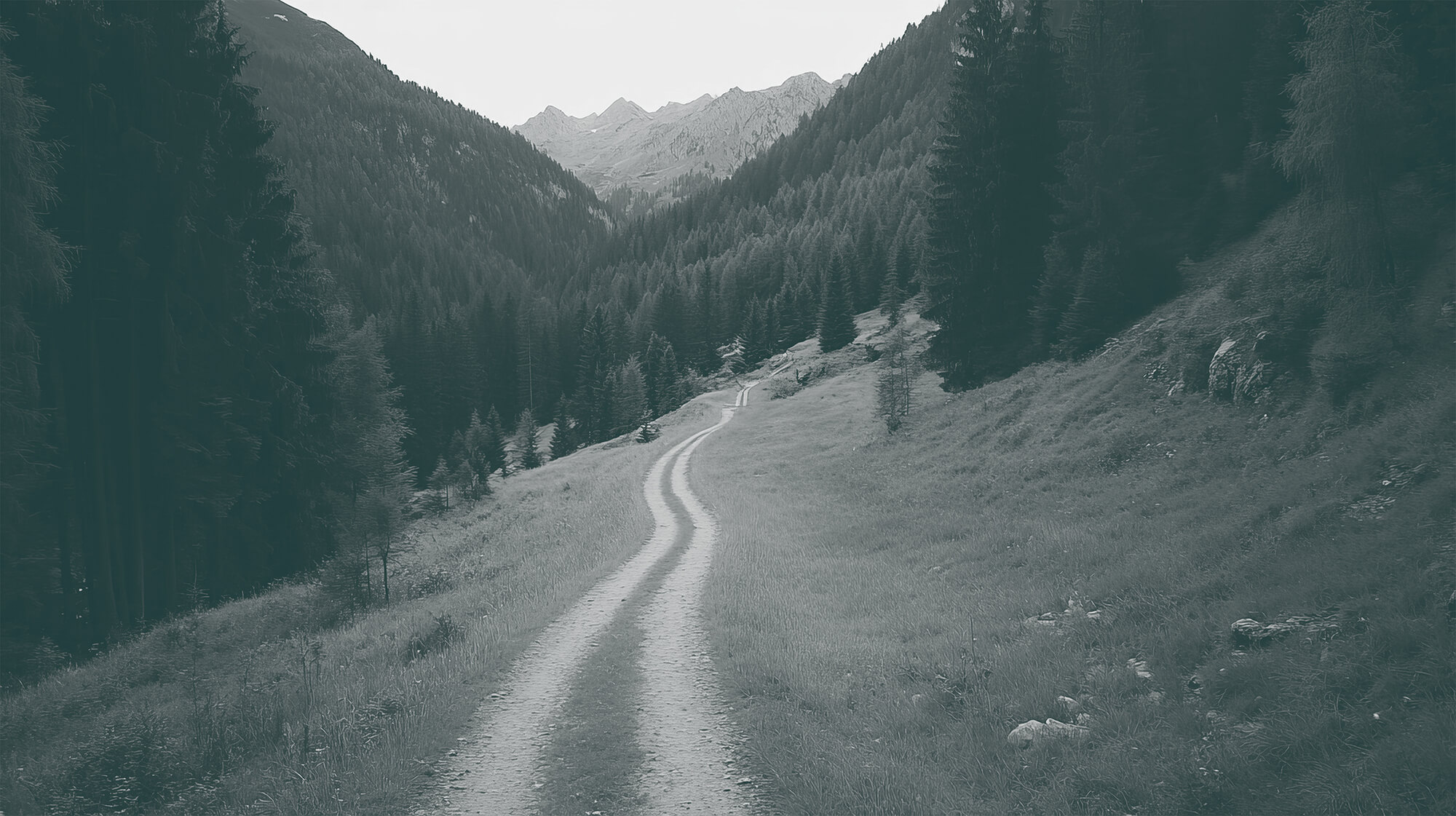 Weg durch Landschaft als Symbol für strategische Personalsuche und modernes Headhunting bei Finders & Company